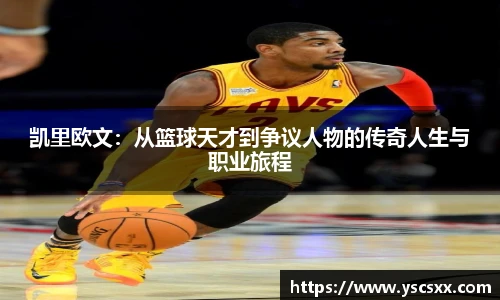 mk官方网站入口