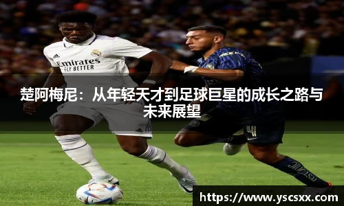 mk官网