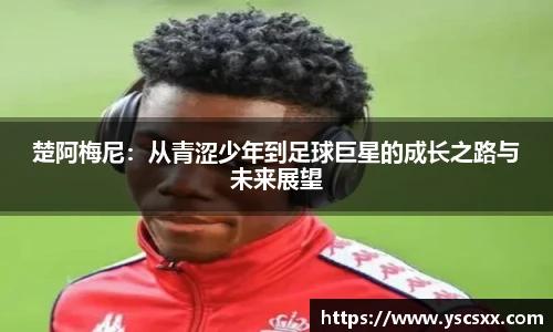 MK官方