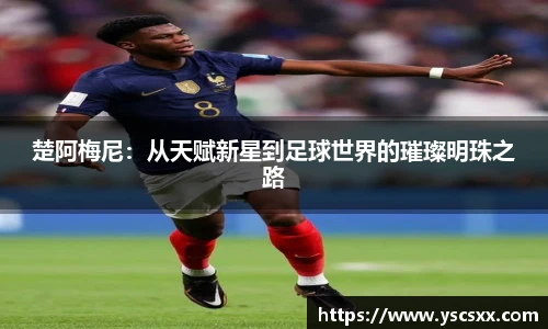 MK官方