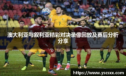 MK官方
