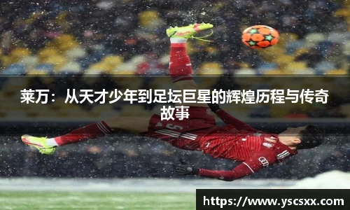 mksport体育