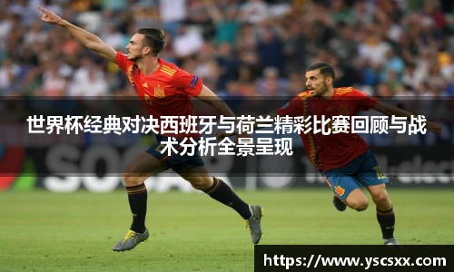 mksport体育在线