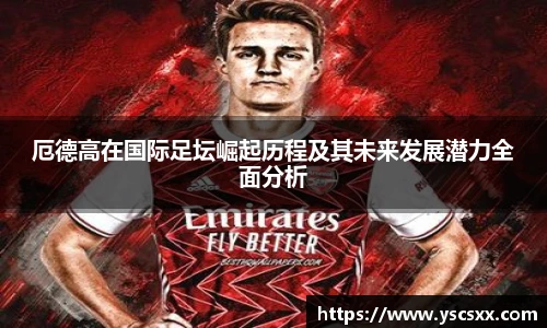 mksport体育在线