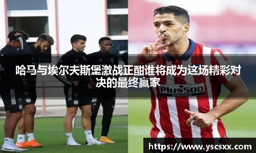 MK官网中国官方网