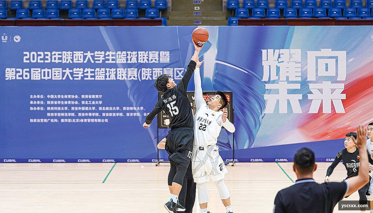 MK官方汇聚激情，创造传奇！